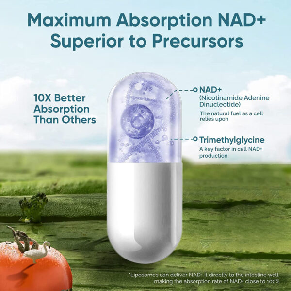 Revitalize & Energize: Unlock Vitality with NAD Capsules for Optimal Wellness! - Image 2