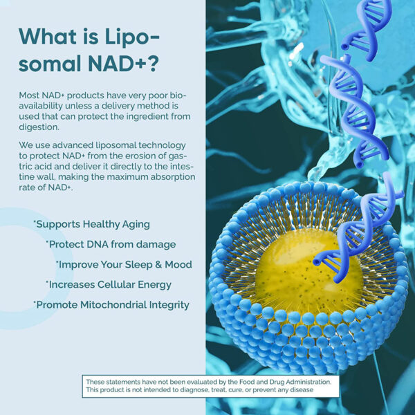Revitalize & Energize: Unlock Vitality with NAD Capsules for Optimal Wellness! - Image 4